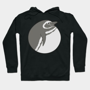 Bird Balls - Magellanic Penguin Hoodie